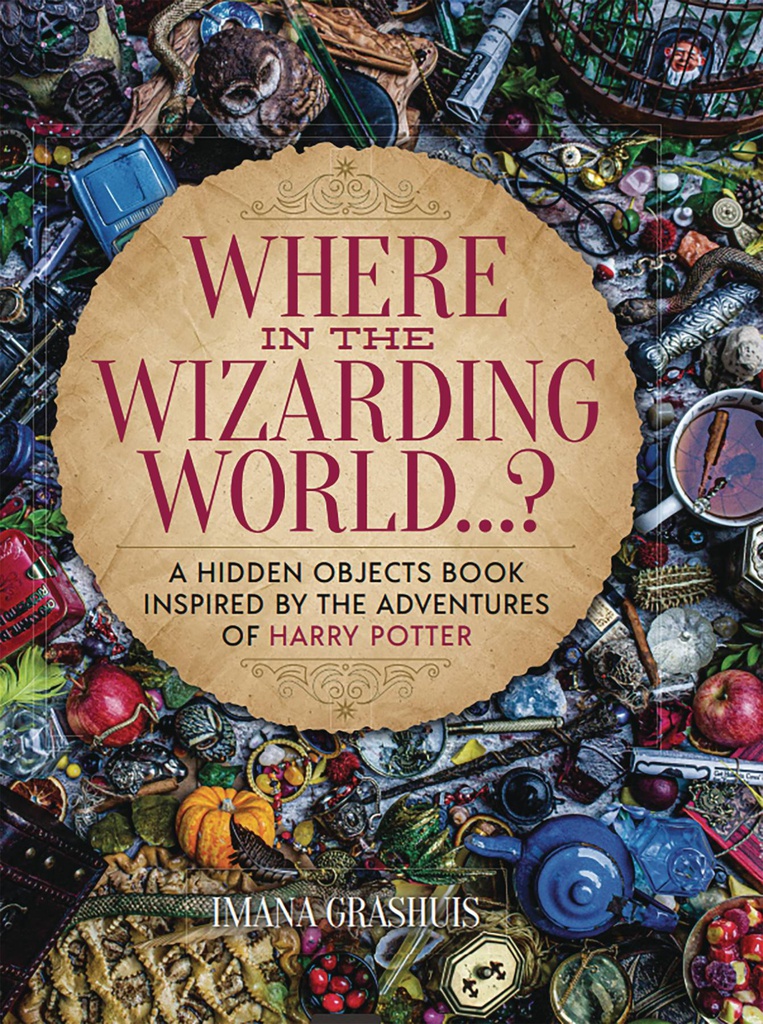 WHERE IN WIZARDING WORLD HIDDEN OBJECTS PICTURE BOOK