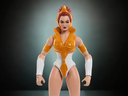 HE MAN AND THE MASTERS OF THE UNIVERSE TEELA